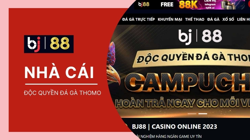 BJ88 | Link vào nhà cái đá gà THOMO BJ88 mới nhất 2024 🎖️